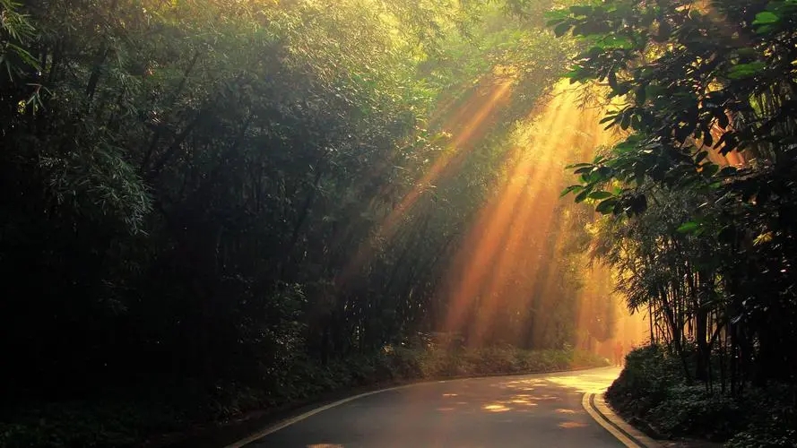 午后时光唯美句子文案