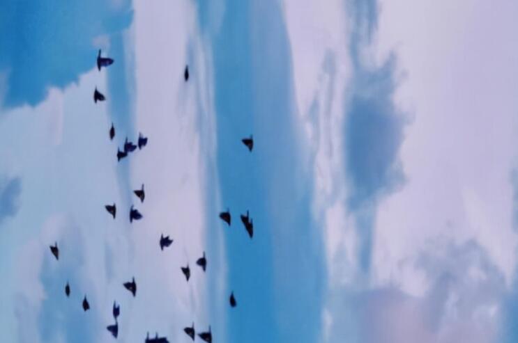 第一次起那么早的说说文案