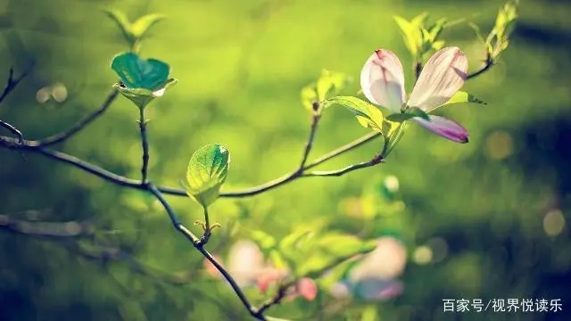 简短说说文案致自己