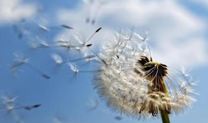 每天给自己一个微笑的句子文案