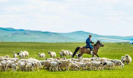 形容在内蒙古骑马的句子文案