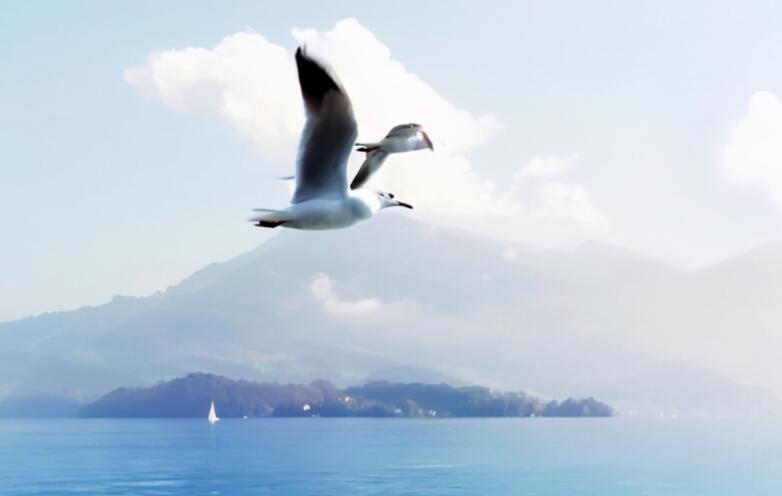 关于谦虚的好段摘抄