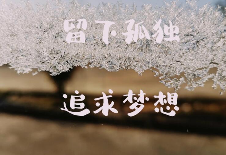 你的孤独虽败犹荣经典语录文案