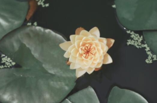 关于打雷下雨的说说文案