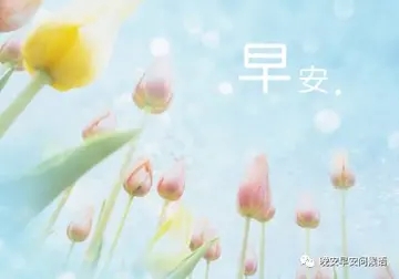 问候不分早晚的早安问候语