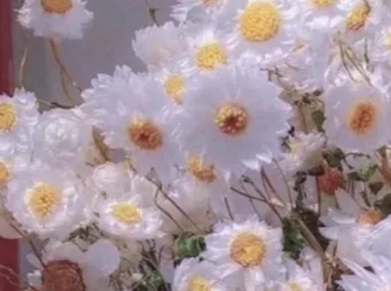 非常治愈的英语句子文案