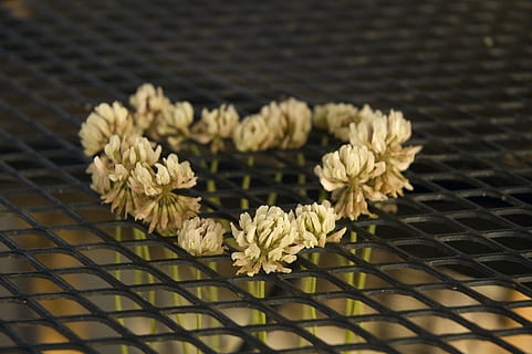 撕心裂肺的感觉的说说文案