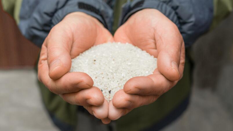 关于节约粮食反对浪费的名言