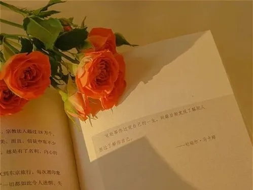 久别重逢写一段话