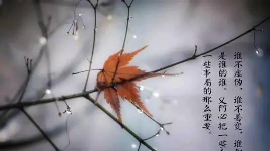 浓浓的思念短语