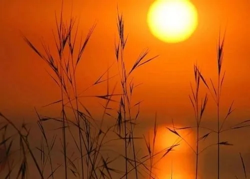 描写黄昏的段落