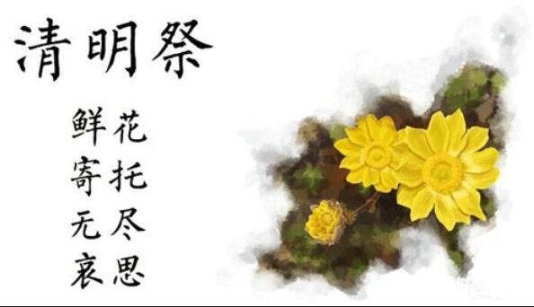 清明句子文案怎么写