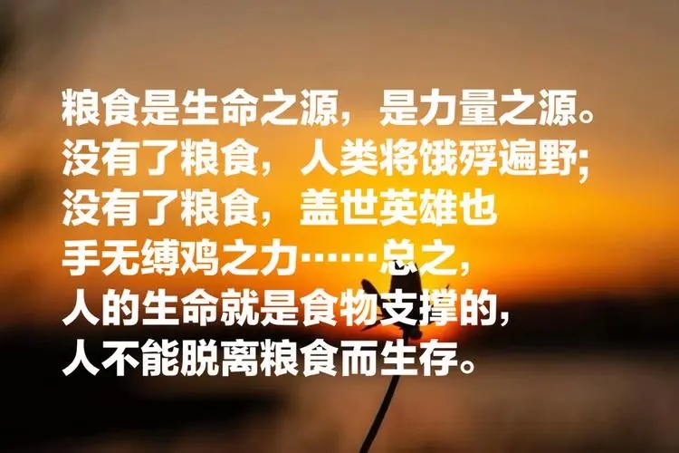 节约粮食的名言