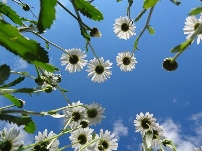 形容生活美好的话