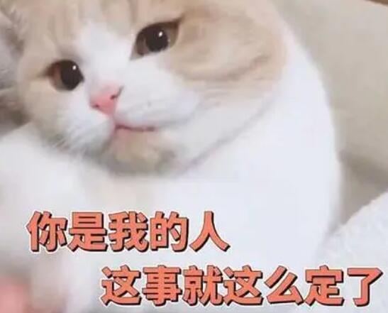 哄女朋友开心的话文案