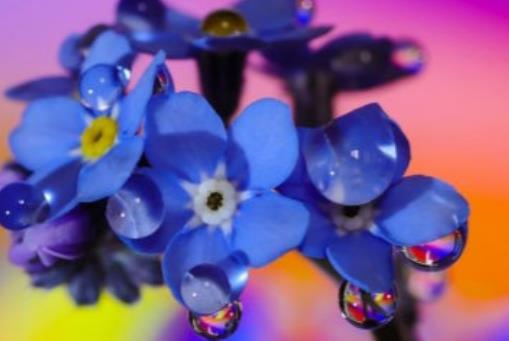 形容爱得心痛的语句文案