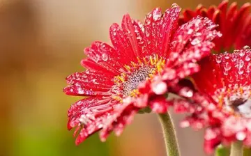 形容突如其来的句子文案