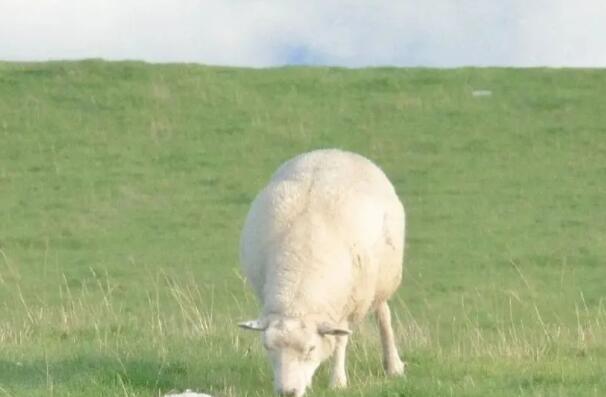 情感流露的句子文案