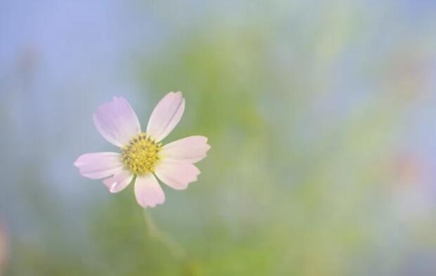 十点夜听人生感悟