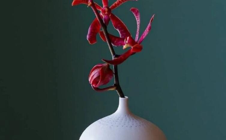 十一个字的短句