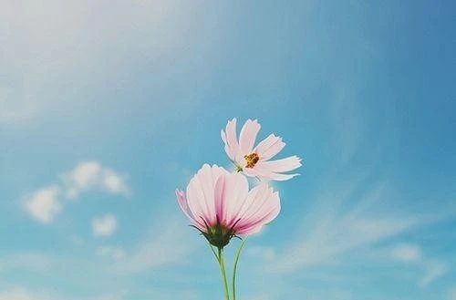 表示乐观心态的句子文案