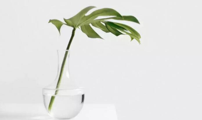 不可辜负一切的句子文案