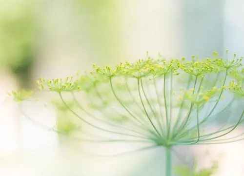 生活要常说的句子文案