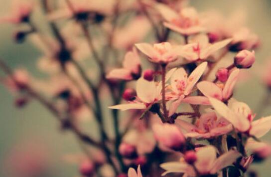 从头再来的句子文案励志