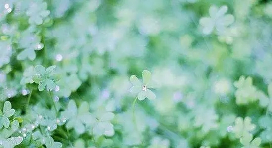 告诉自己清醒的句子文案