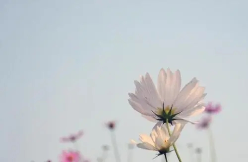 三月第一个工作日说说文案