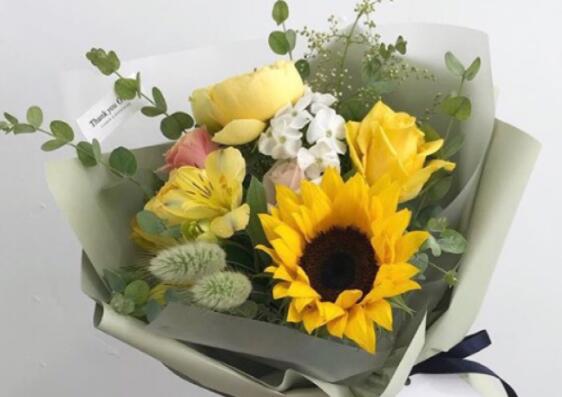 英语骂人短句简单霸气