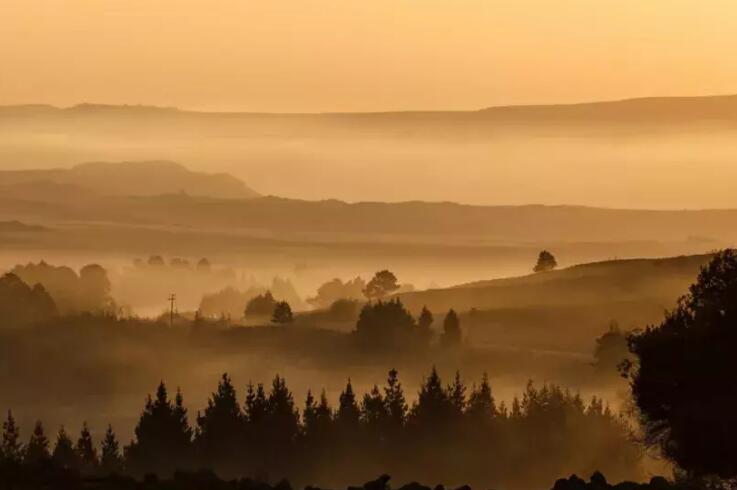 形容绝不服输的诗句文案