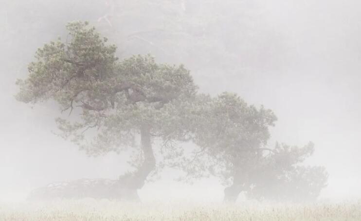 男人心累的诗句文案