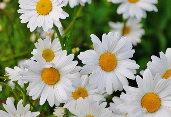 早晨激励正能量句子文案