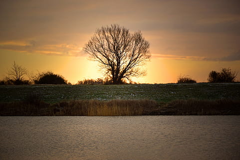 工作态度8字名言
