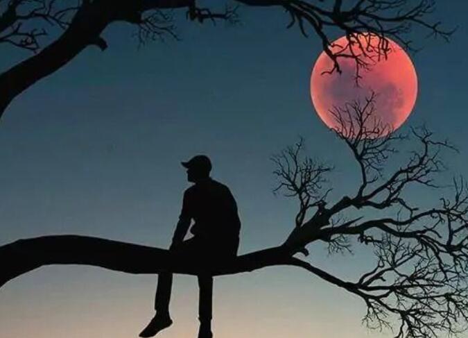 名人名言和解释感悟