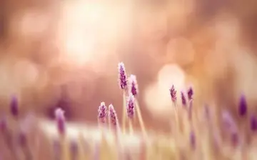 幸福励志语录文案