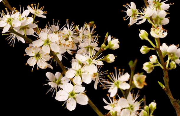 良心的句子文案经典语录