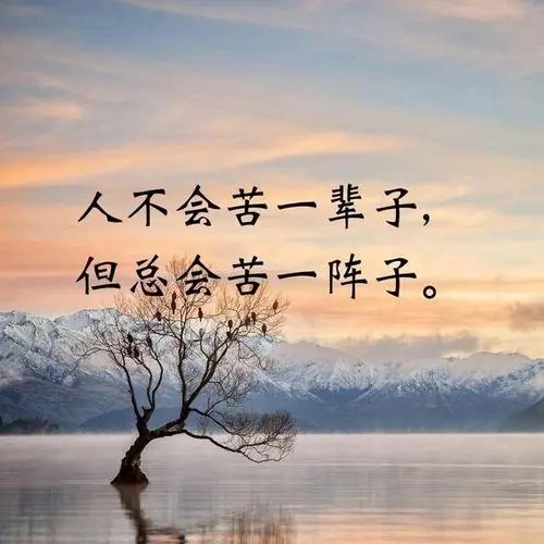 骂一个人不争气的说说文案