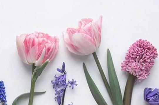 2021早上好图片最新问候语