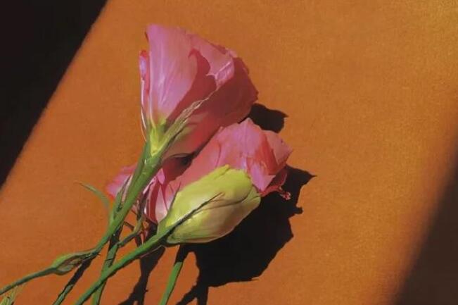 一句话说说文案超短最新