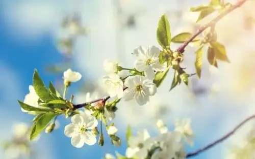 精辟犀利的经典句子文案