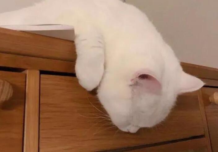 女生超级皮的句子文案