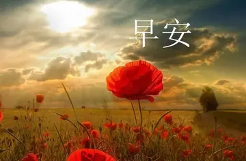 一起开心的句子文案