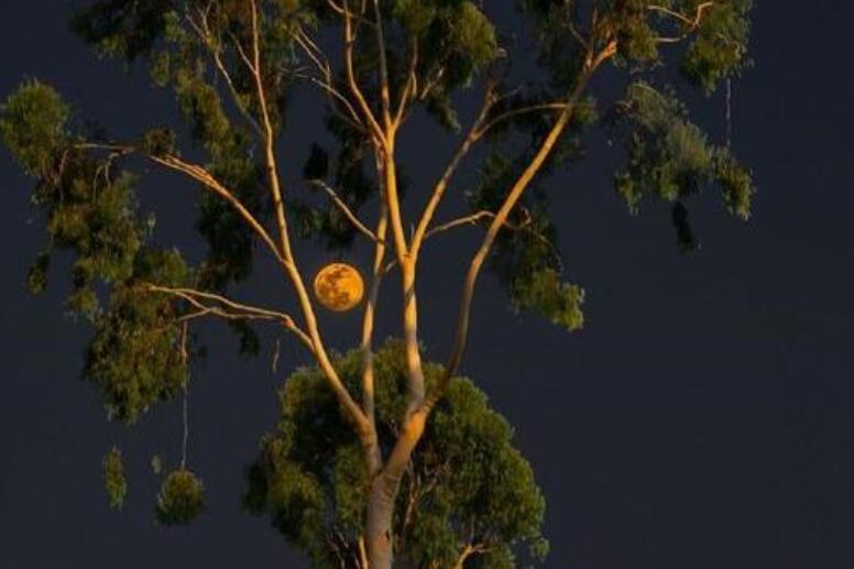 写给孩子的心灵鸡汤