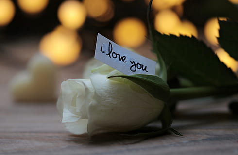 比喻爱情深厚的句子文案