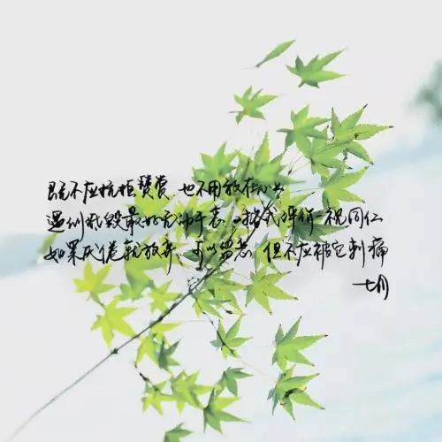 朋友暖心短句八个字