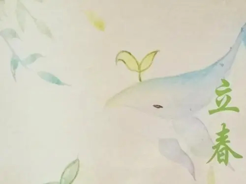 关于节气的段落摘抄