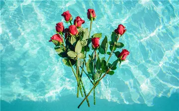 励志短句致自己努力