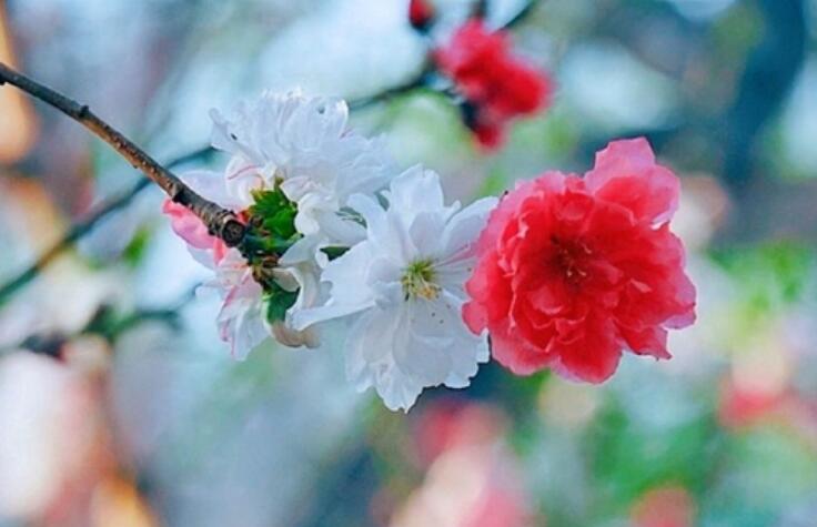 拍了套古装怎么发说说文案